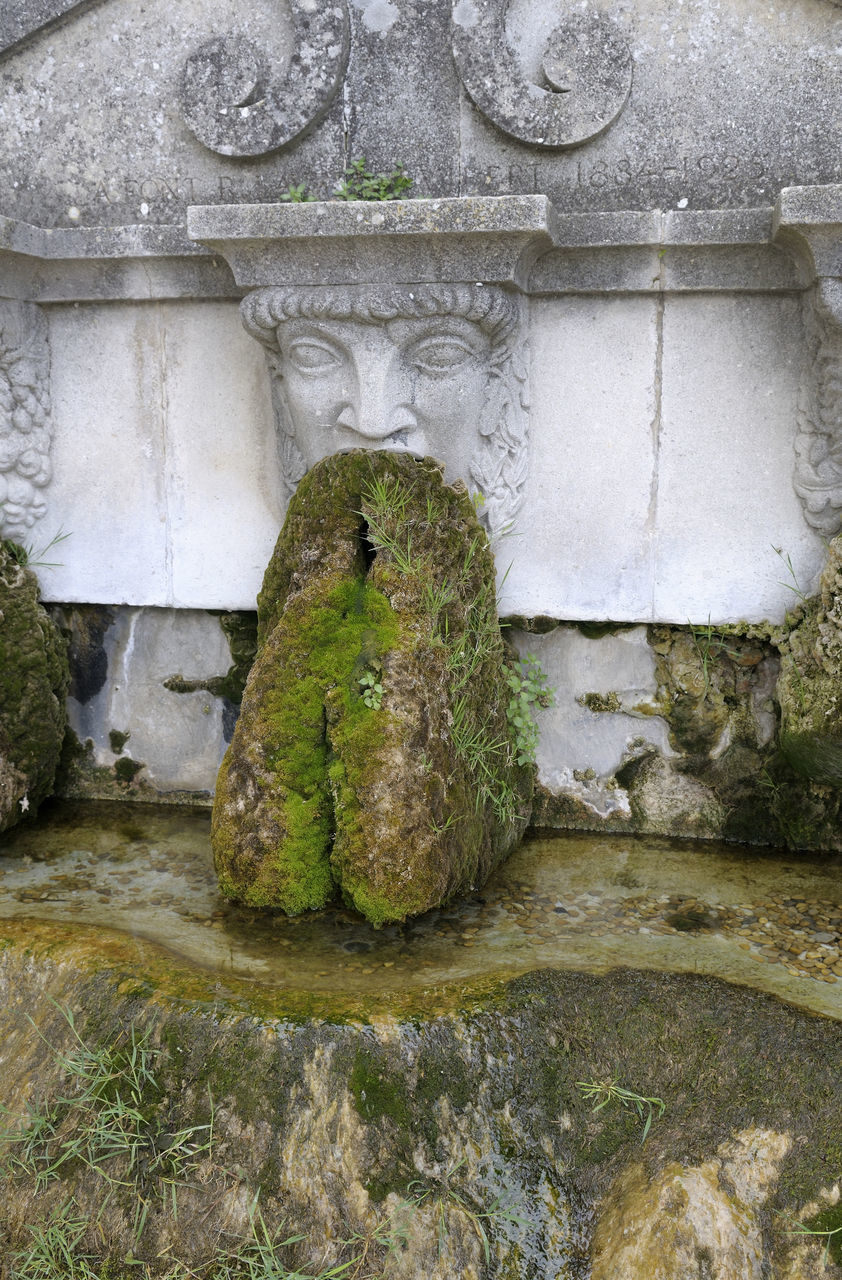 CLOSE-UP OF SCULPTURE ON WALL BY MOSS