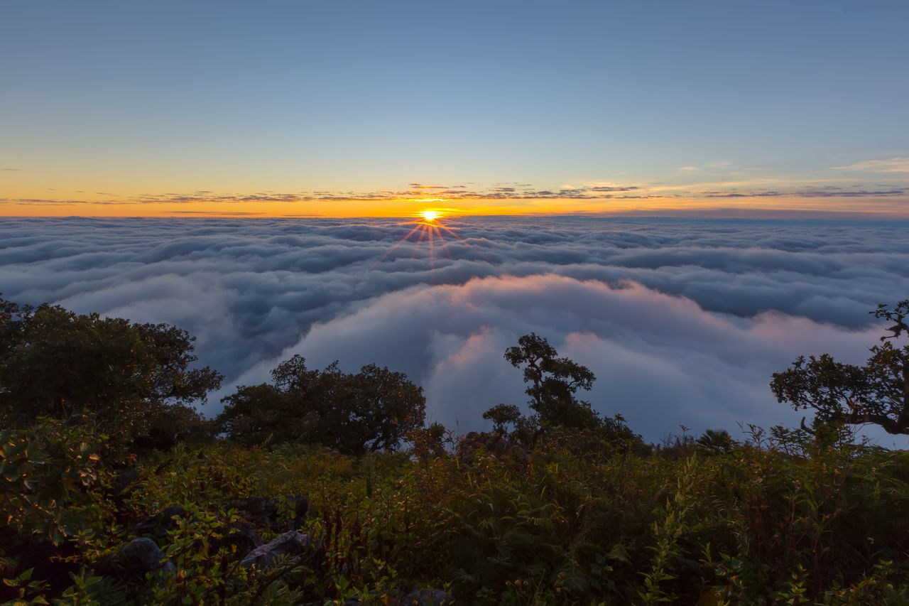 SCENIC VIEW OF SUNSET