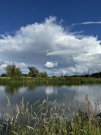 nature