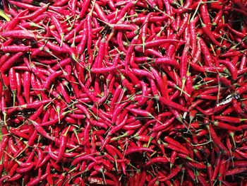 Full frame shot of red chili peppers for sale