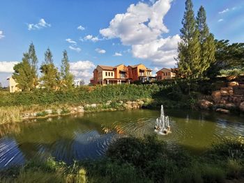 Plants by lake and buildings against sky