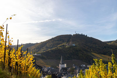 Scenic view at bernkastel-kues and landshut castle on the river moselle in autumn