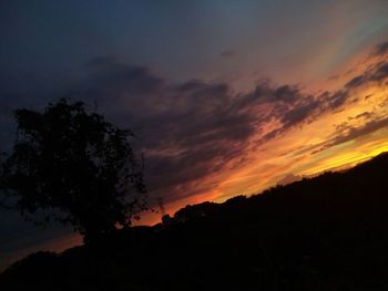 Silhouette trees against sky during sunset