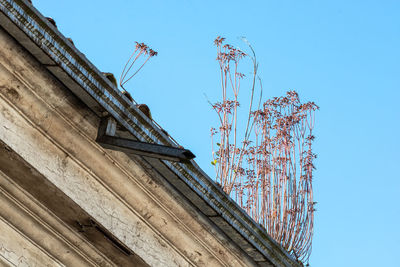 Low angle view of building against blue sky