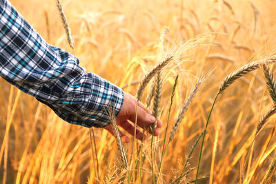 agriculture