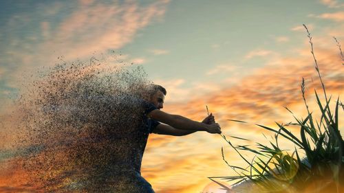 Digital composite image of man dissolving while holding plant during sunset