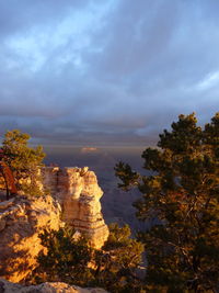 Rock formation amidst trees against sky