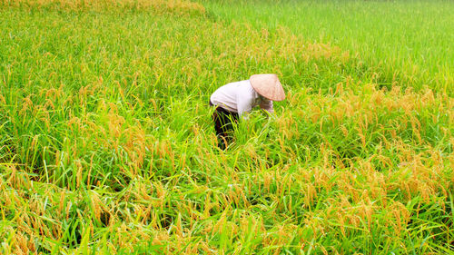 Man working on field