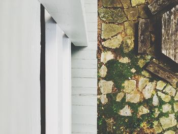 Close-up of window on door