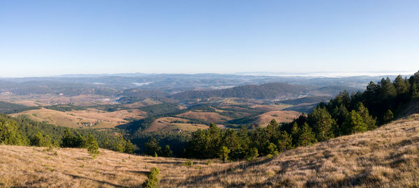 Scenic view of landscape against clear sky