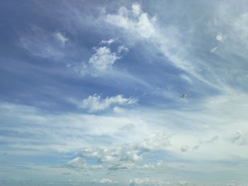 Low angle view of bird flying in sky