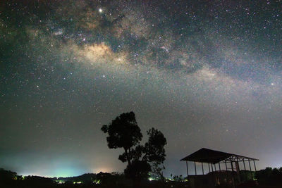 Low angle view of trees against sky at night