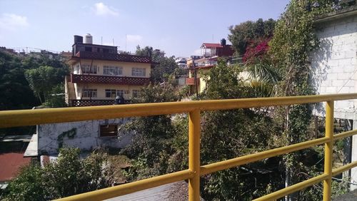 Trees by city against sky