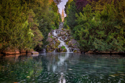 Scenic view of river amidst trees in forest