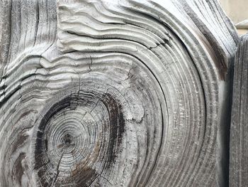 Full frame shot of tree stump