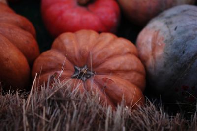 Full frame shot of fruits for sale