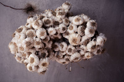 Close-up of garlics hanging against wall