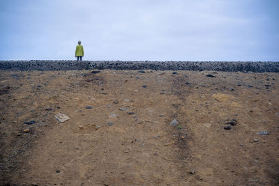 Rear view of man standing on beach against sky