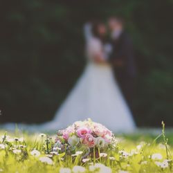 Close-up of flowers against blurred background