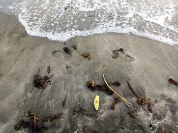 High angle view of footprints on sand at beach