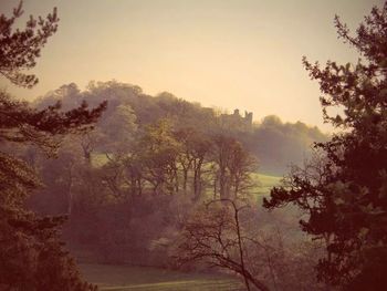 Scenic view of trees against sky