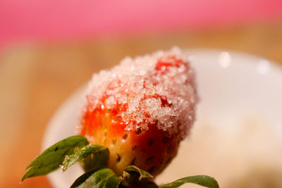 Close-up of strawberry on plant