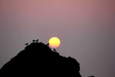 Low angle view of silhouette sun against clear sky during sunset