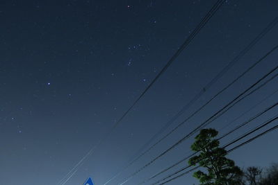 Low angle view of trees against sky at night