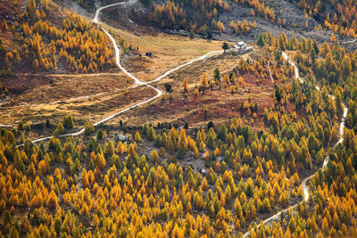 Scenic view of road passing through landscape