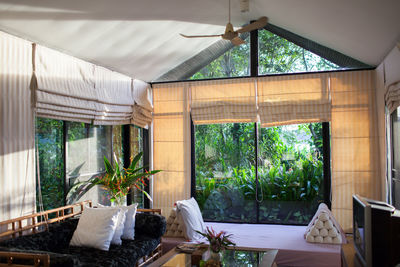 View of potted plants on window