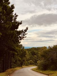 Road by trees against sky