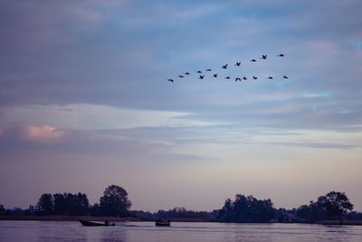 Silhouette birds flying over lake against sky during sunset