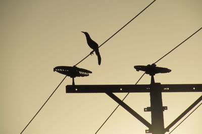 Low angle view of power lines against sky