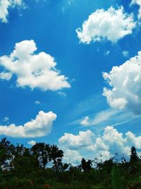 Low angle view of trees against sky