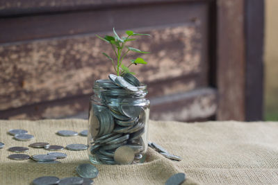Plant in jar on table