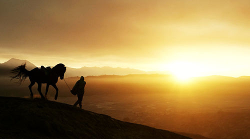 Silhouette man with horse on land against sky during sunset