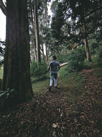 Rear view of man standing amidst trees in forest