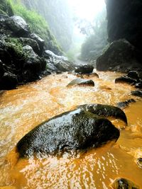 Scenic view of waterfall