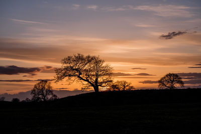 Silhouette bare tree on field against sky at sunset