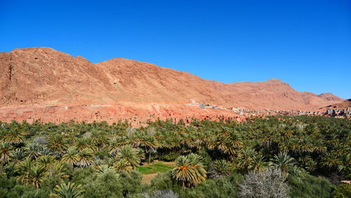 Scenic view of desert against clear blue sky