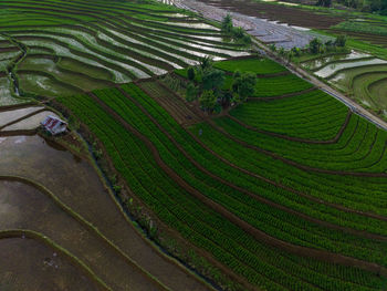 Aerial view beautiful morning view from indonesia about mountain and forest