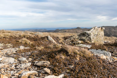 Moody evening near the summit of mount kosciuszko, australia's highest summit, snowy mountains range