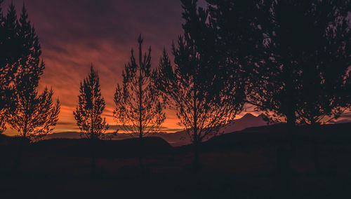 Silhouette trees against sky during sunset