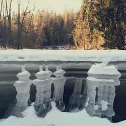 Scenic view of snow covered trees