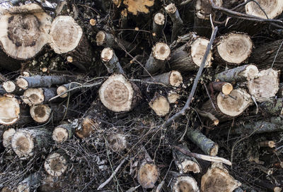 Full frame shot of logs