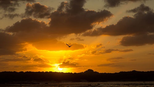 Silhouette birds flying in sky during sunset