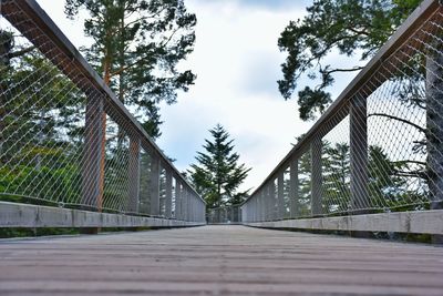 Surface level of footbridge against trees