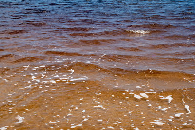 High angle view of surf on beach