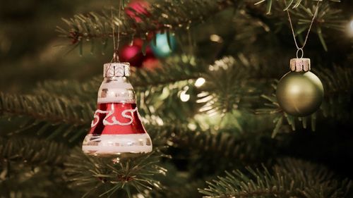 Close-up of christmas decorations hanging on tree