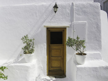 Door of a traditional greek white house with two potted plant against wall - high concept pho